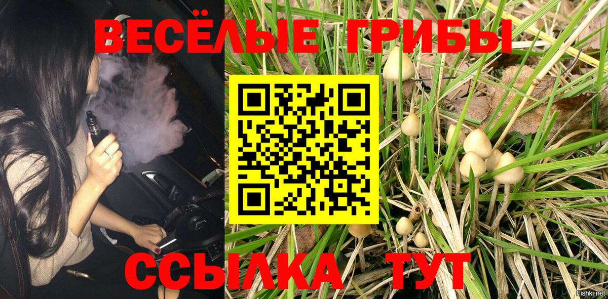 Галлюциногенные грибы MAGIC MUSHROOMS  Псилоцибиновые грибы Magic Shrooms  Вход с VPN  Киржач 